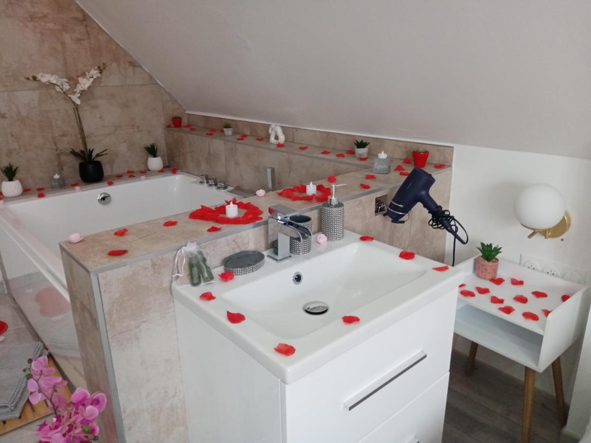 Studio Jacuzzi Au Centre Colmar Dış mekan fotoğraf