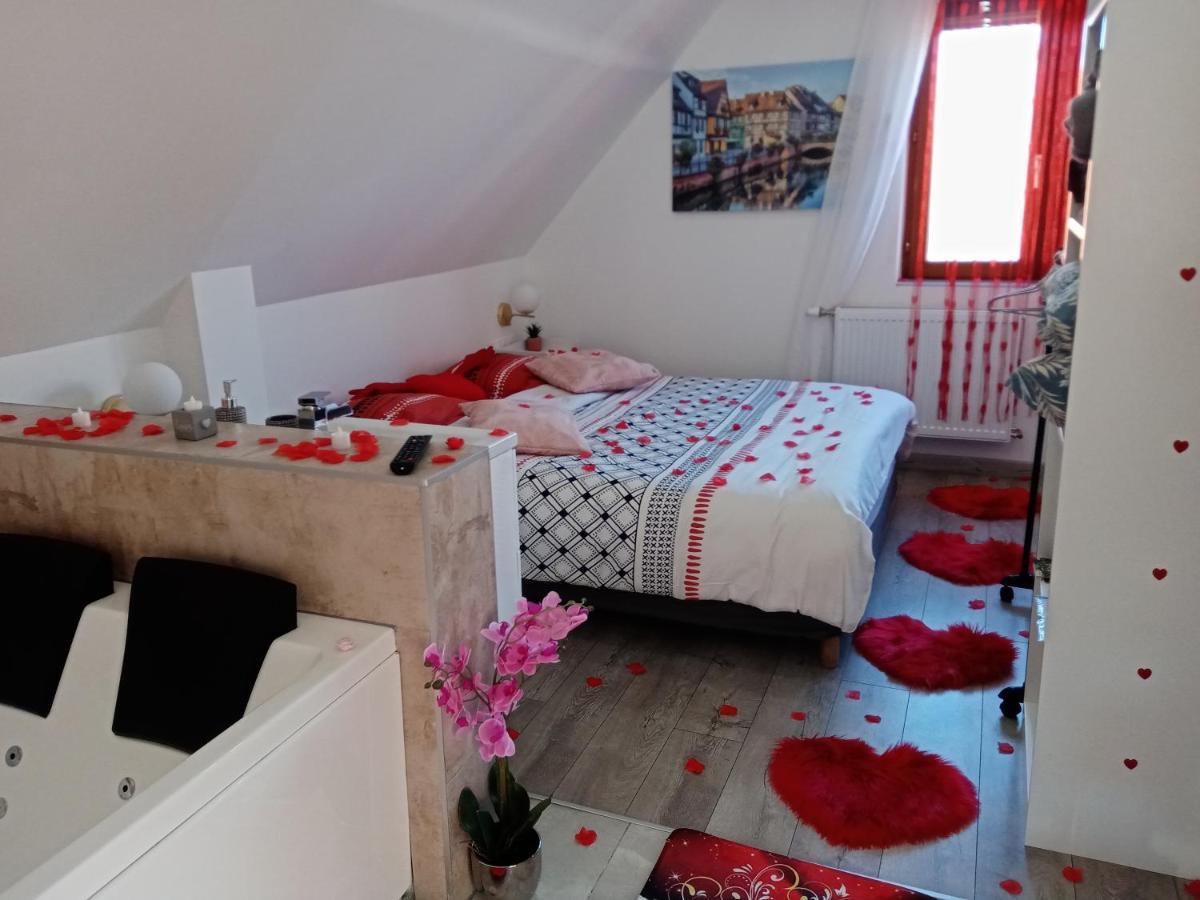 Studio Jacuzzi Au Centre Colmar Dış mekan fotoğraf