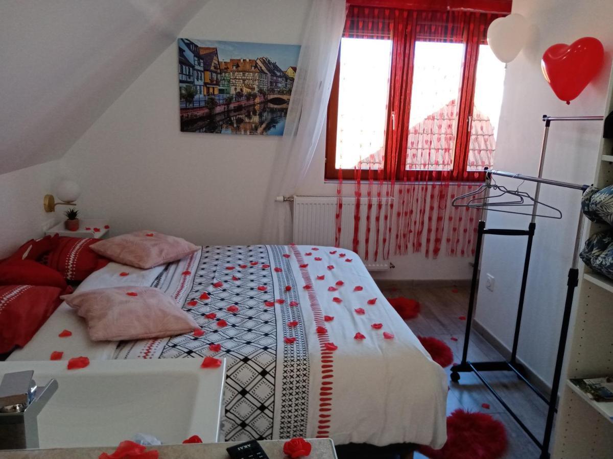 Studio Jacuzzi Au Centre Colmar Dış mekan fotoğraf