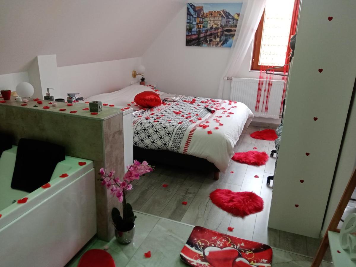 Studio Jacuzzi Au Centre Colmar Dış mekan fotoğraf