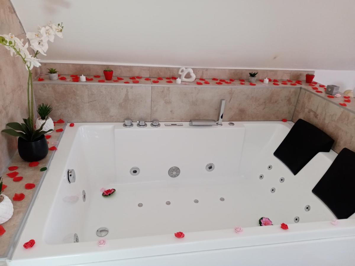 Studio Jacuzzi Au Centre Colmar Dış mekan fotoğraf