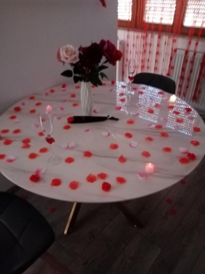 Studio Jacuzzi Au Centre Colmar Dış mekan fotoğraf